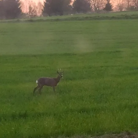 Na Skarpie Nr 1 Lutynowo Gmina Casa vacanze