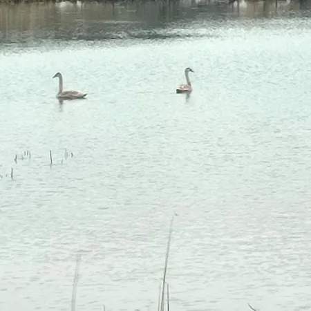 Na Skarpie Lutynowo Gmina *