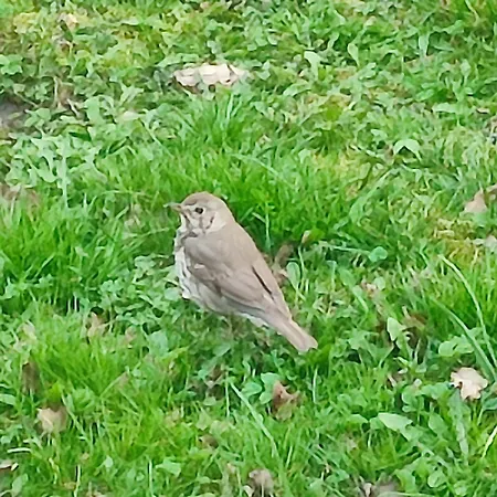 Na Skarpie Lutynowo Gmina * Olsztynek