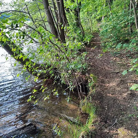 Na Skarpie Nr 1 Lutynowo Gmina * Olsztynek