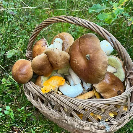 Na Skarpie Lutynowo Gmina Ferienhaus